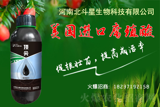 �ؗ͜l����������Nֲ��������������B(y��ng)�����o(h��)��