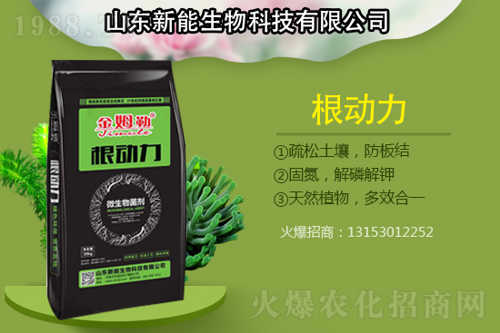 �������������ԭ�����ģ���Q����������ʩ��ô����