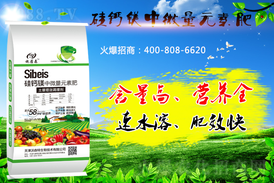 ���}�VԪ�ط����˽��������̎����Щ��