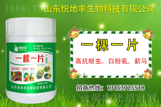 �߿����x���׷�ʭ���E�R��ʲô����һ�x������