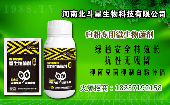 �׾����������r(ji��)��2020.12.26