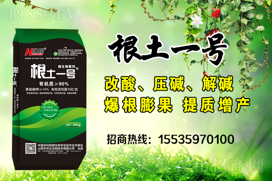     ΢��������е�΢������ʲô������΢�����������θ�����������