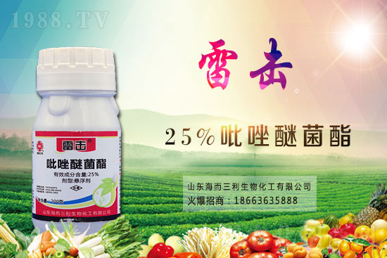 2020-12-28��ù���r(n��ng)ˎ�r(ji��)��S�̈�(b��o)