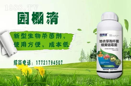 �������⛶�����Ч���Æ������������������ֲ�￹����������