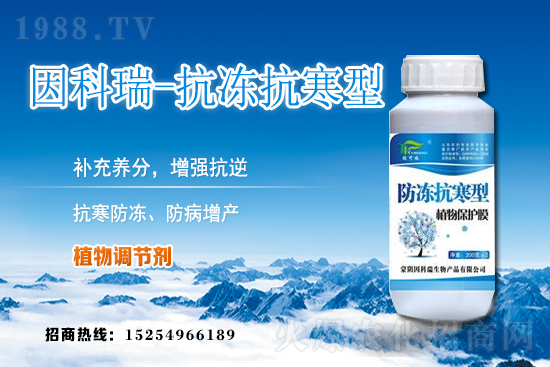 ���յ��ȃr(ji��)������Xһ����2020��12��9�յ��ȃr(ji��)������