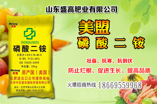 ����С���r(ji��)��߀��(hu��)�^�m(x��)�ϝq����12��С���r(ji��)���������