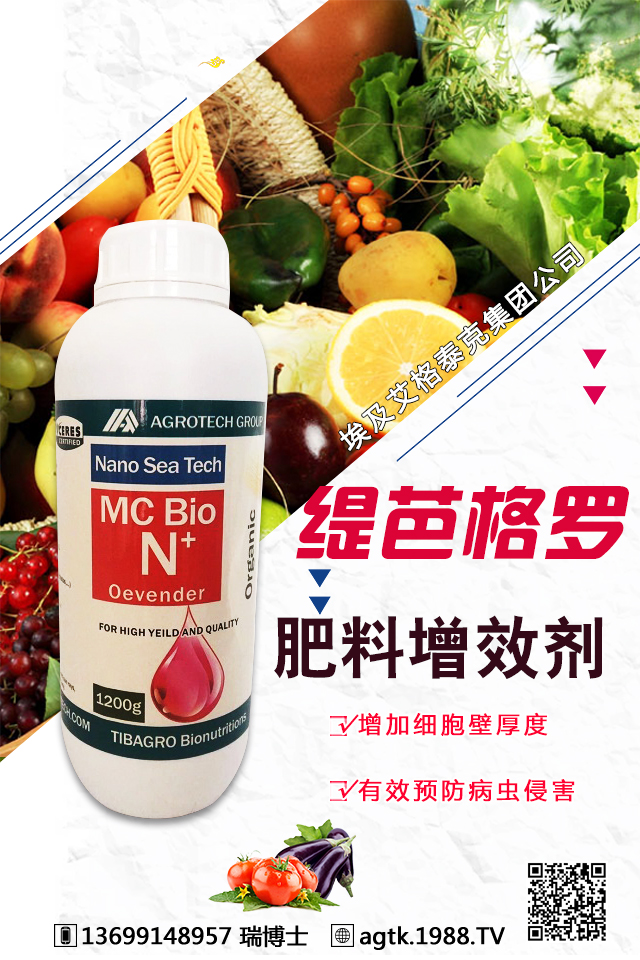 ��������̩�˼��F��˾