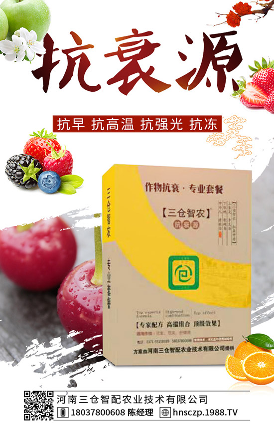 ���·��m�ϷNֲʲô�߲ˣ����·��߲˷Nֲע�������