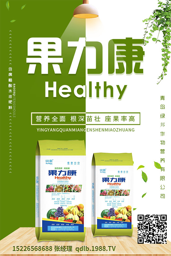 �����ĸ������g�Y���������ĸ����İl(f��)��Ҏ(gu��)�ɼ����Σ�