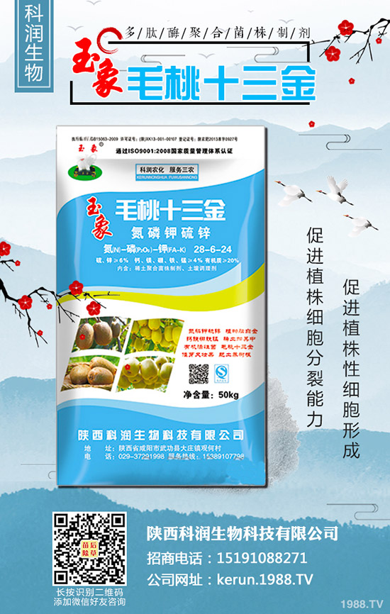 警惕:尿素連續(xù)漲價后,風(fēng)險大嗎?2020-3-13各地最新報價!