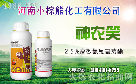 С���ܻ����ɹ����s1988.TV���y�ֹ���(chu��ng)��(zh��n)��(j��)��