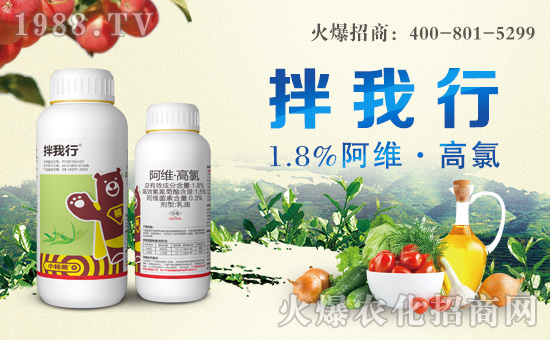 С���ܻ����ɹ����s1988.TV���y�ֹ���(chu��ng)��(zh��n)��(j��)��