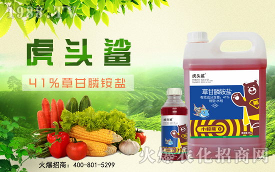 С���ܻ����ɹ����s1988.TV���y�ֹ���(chu��ng)��(zh��n)��(j��)��