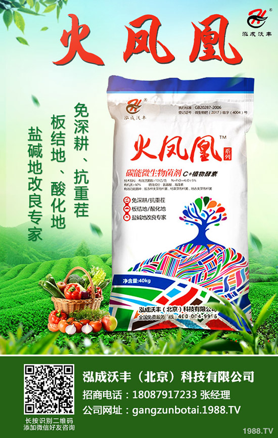 ��Ҋ�������ɺ��x����Щ���������ɺ��x������磿