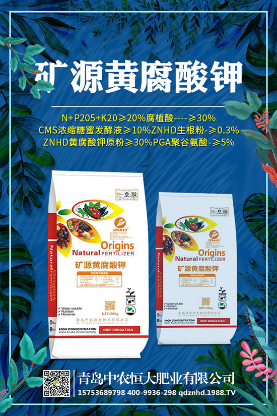 �紺���˷Nֲ���g(sh��)����Щ�����g����Ҫע��ʲô��