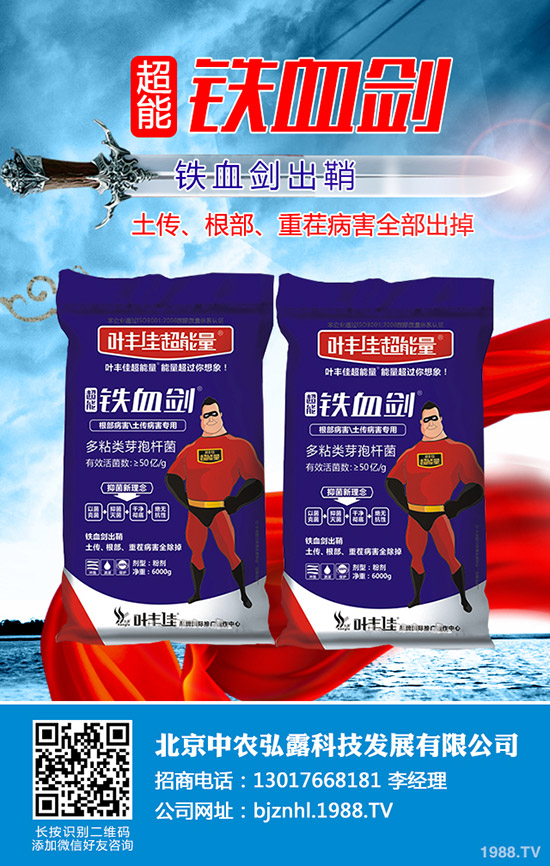     溫室番茄白粉虱的危害，溫室番茄白粉虱怎樣防治？