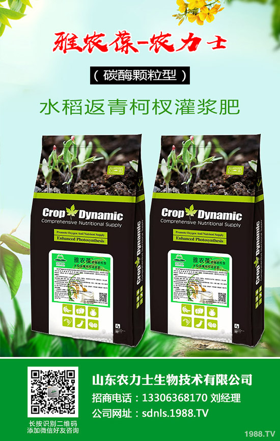     ԭ�Ϻͳɱ����m(x��)�ϝq���ͺϷ�؛�o�r�P�����������߄ݷ���2020-3-17��