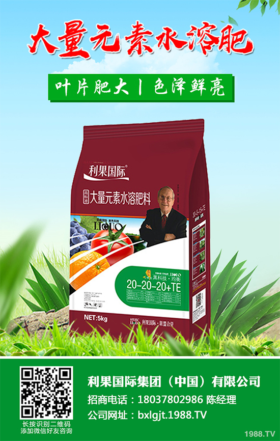 ���y���Nֲǰ�������2020���y���ķNֲǰ����Ч�����