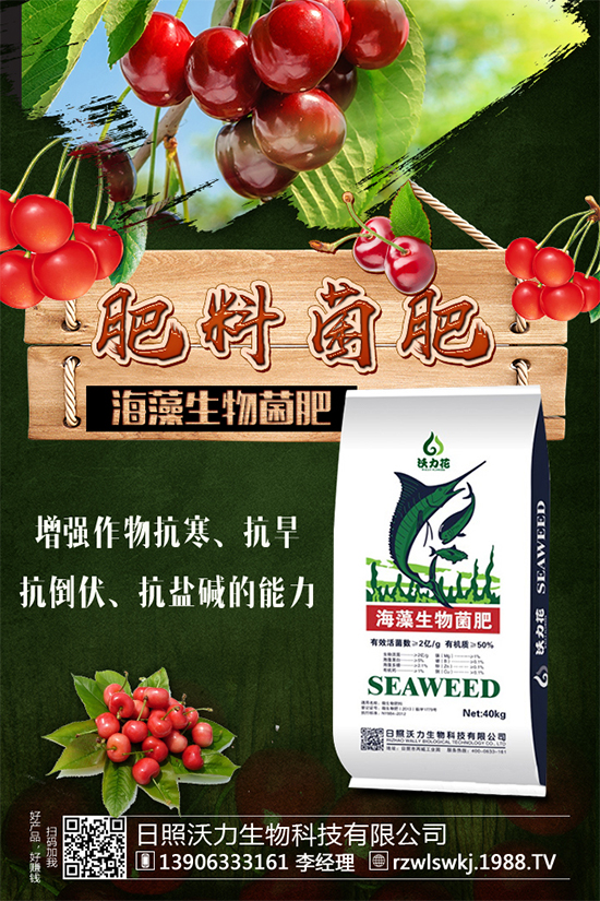 �R���Ј�(ch��ng)ǰ����ô�ӣ��R��Nֲ����Ҫ�c(di��n)����Щ����