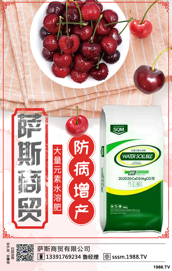 ������ԓ��ηNֲ���紺���׸߮a(ch��n)�Nֲ���g(sh��)Ҫ�c(di��n)