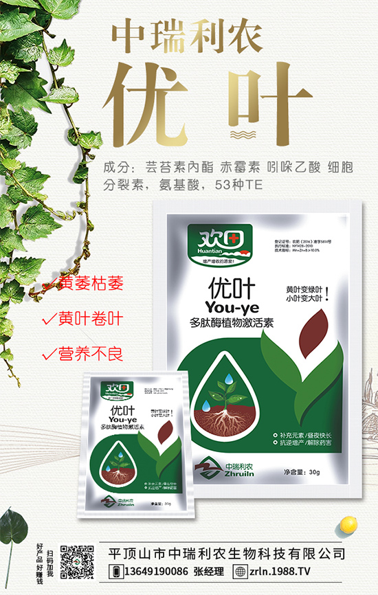 西瓜什么時(shí)間種植？西瓜伸蔓期管理要點(diǎn)！