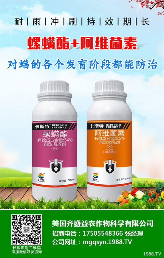 �ɘ䚢�x���r(ji��)��