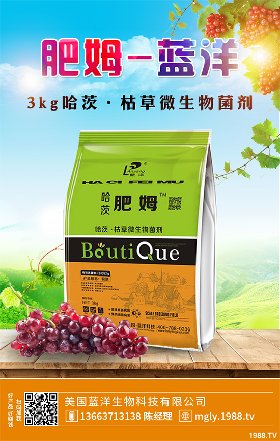 花椒樹該如何種植？三步幫你輕松種出高產(chǎn)花椒！