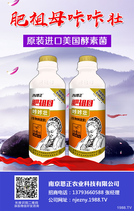 春季花椒樹常見的病蟲害有哪些？該如何防治？花椒病害的發(fā)生與防治
