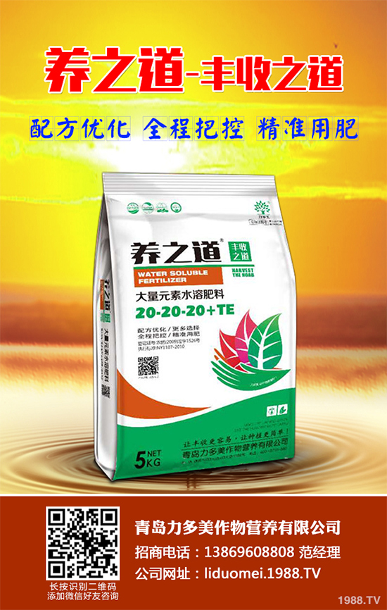 ���{��ԓ��ηNֲ�����{���߮a(ch��n)�Nֲ���g(sh��)Ҫ�c