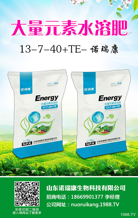     ���@�Ј��N�۷�(w��n)����2020��3��25�ս������¶��@�r�����