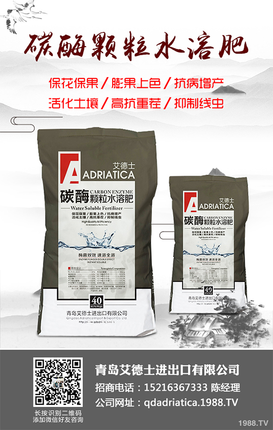 大棚西紅柿該如何種植？春季西紅柿種植管理技術(shù)