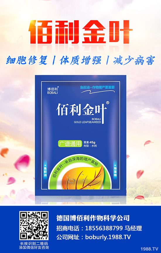 ��������A(y��)���ʺ����l(f��)���ʺ�������a����