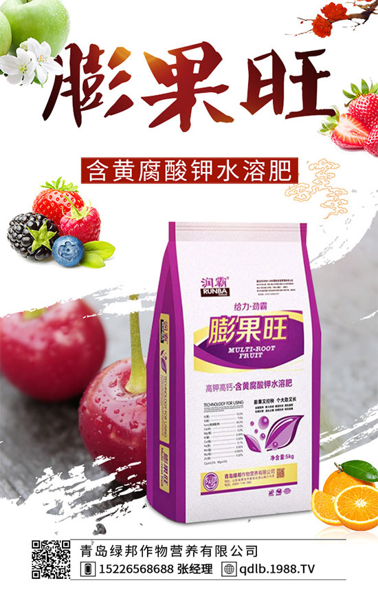 四季豆落花落莢是什么原因？四季豆落花落莢預(yù)防措施！