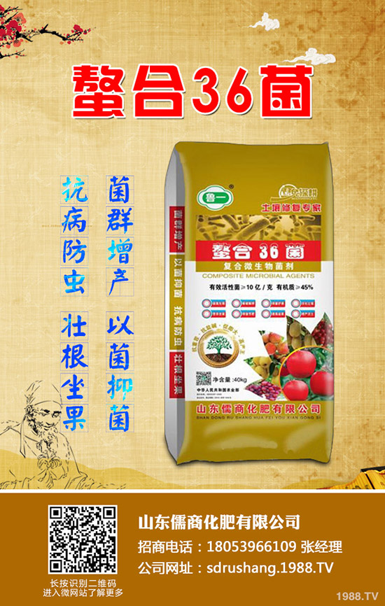     蘋果樹春季管理需要注意的12大誤區(qū)！值得你收藏！