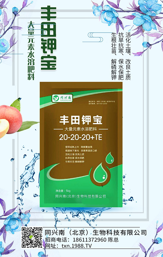 �㶹ʲô�r��N���㶹�Nֲ�r�g���NֲҪ�c��