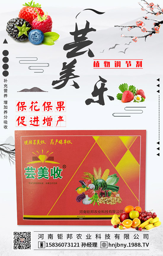 �����׽�����ʲôΣ���������׽����ķ��δ�ʩ��