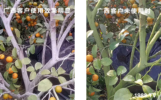 �V���͑�ʹ��Ч�����@��δʹ�Õr(sh��)��