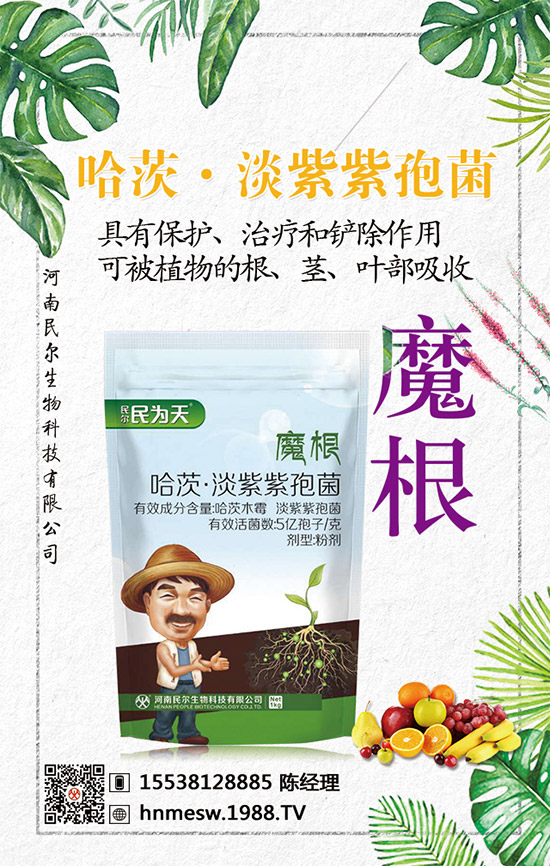 �����������������ٺ�1988.TV������(chu��ng)���x����