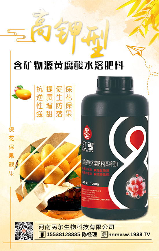 �����������������ٺ�1988.TV������(chu��ng)���x����