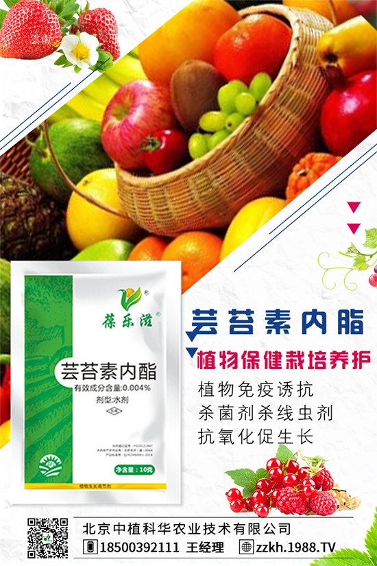 ���Ҫ��ô�Nֲ�����ˮ�ʹ���Ҫ�c(di��n)��