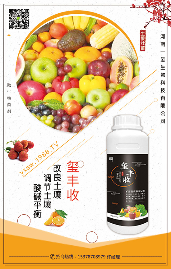 ��������ô�Nֲ��������Nֲ���g(sh��)��