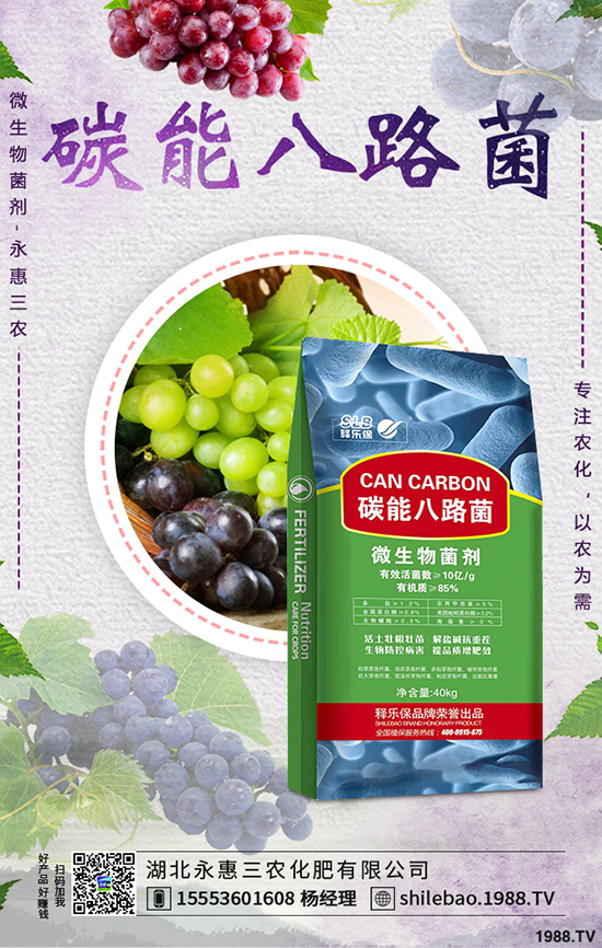 莧菜種植時間是什么時候，莧菜種植方法技術(shù)