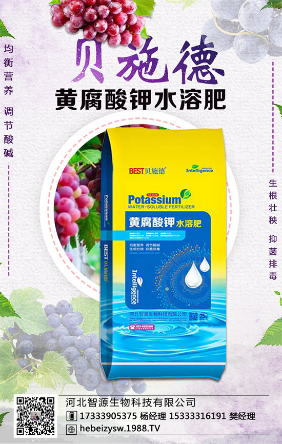 西瓜的生育周期,西瓜播種要點(diǎn)及種植密度!