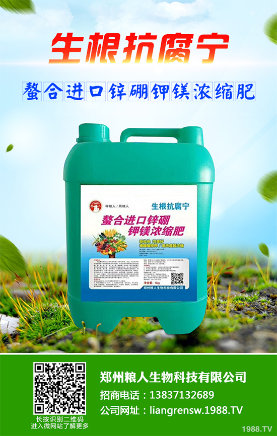 ���~��ԓ��ηNֲ����ˎ�����~��߮a(ch��n)�Nֲ���g(sh��)Ҫ�c