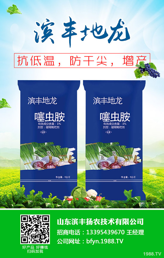 小麥?zhǔn)裁磿r間抽穗?小麥早出穗危害!怎么辦?補(bǔ)救措施有哪些?