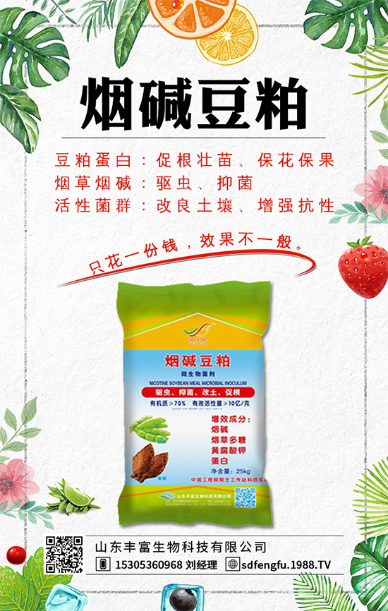 ���t��ʲô�r�g�Nֲ���t���Nֲ��β����S�a����