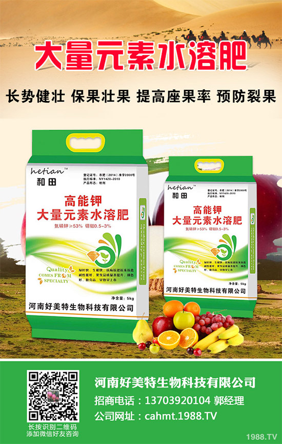 ��(x��)���[��ηNֲ���ܸ߮a(ch��n)����Ҫע��ʲô���@�傀(g��)С���ɷ���һ����