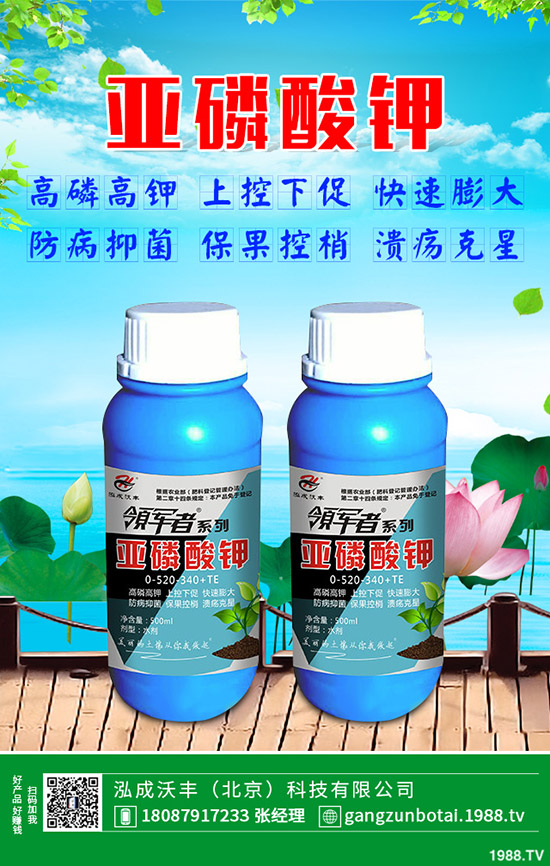 �S�Ϗ�����ʲôԭ�������S�Ϗ��ϸ���Ҫ�E��