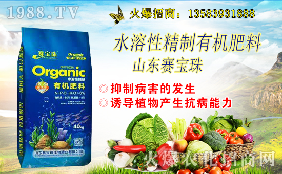 賽寶珠生物簽約1988.TV,共謀合作促雙贏!