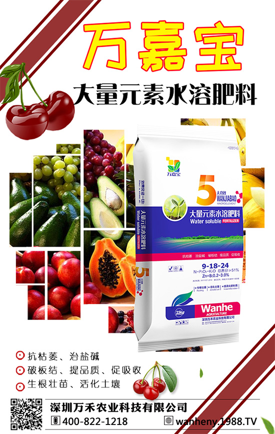 深圳萬禾農(nóng)業(yè)再度攜手1988.TV,打造網(wǎng)絡(luò)招商奇跡!